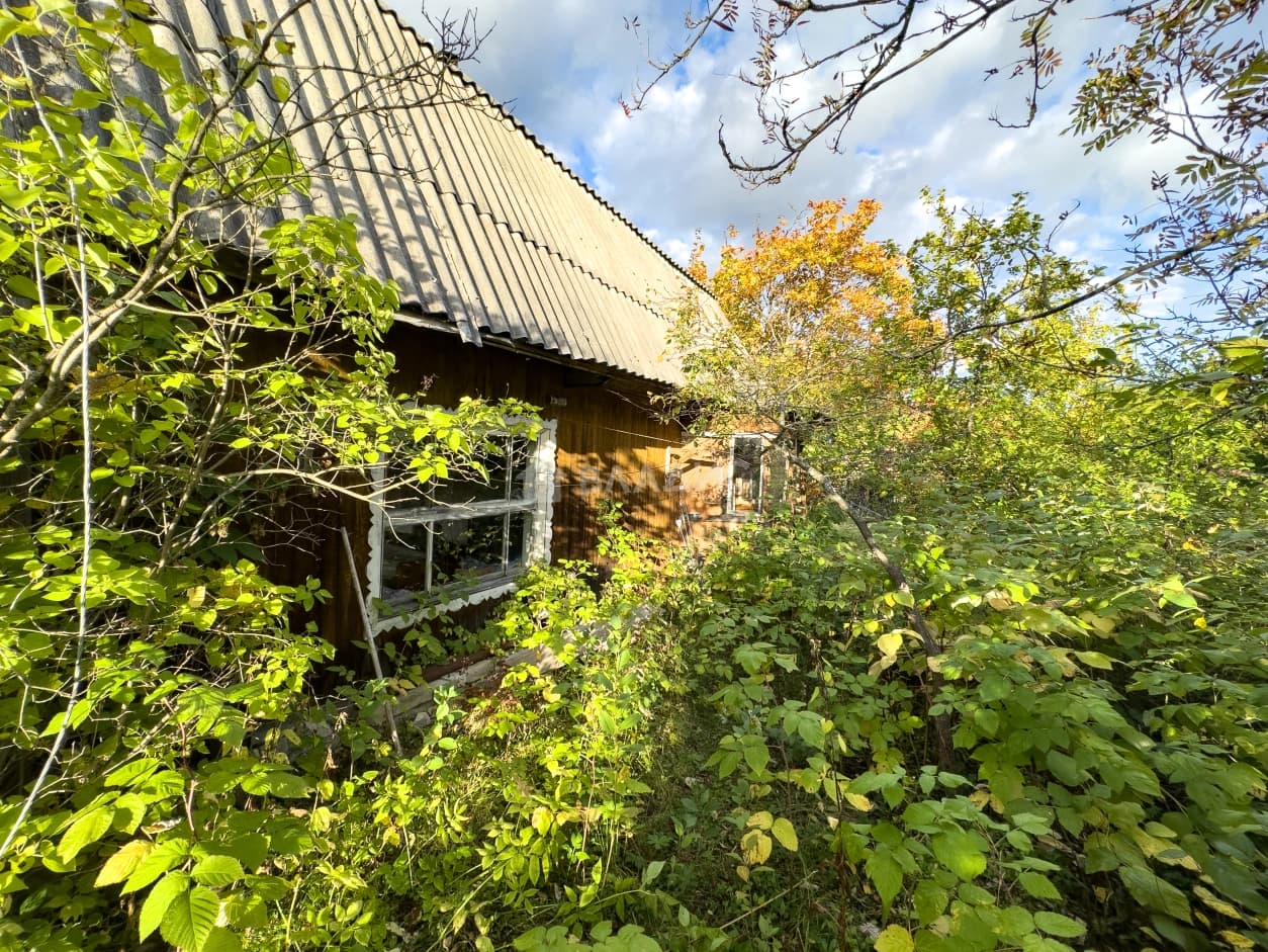 Photo 15