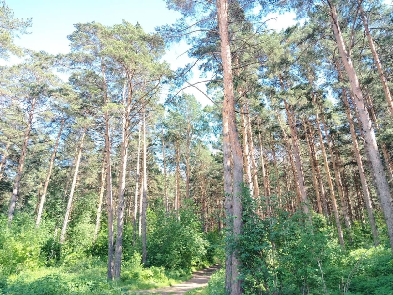 Photo 32