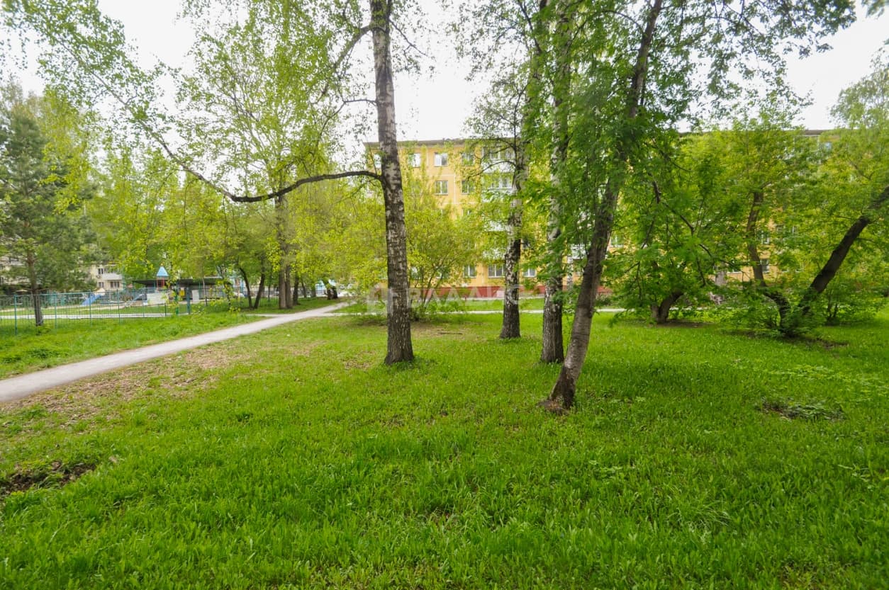 Photo 33