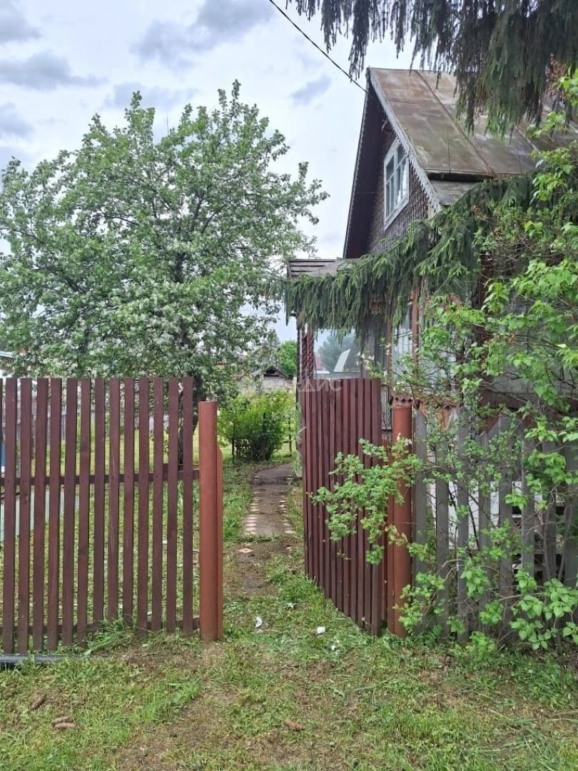 Photo 8