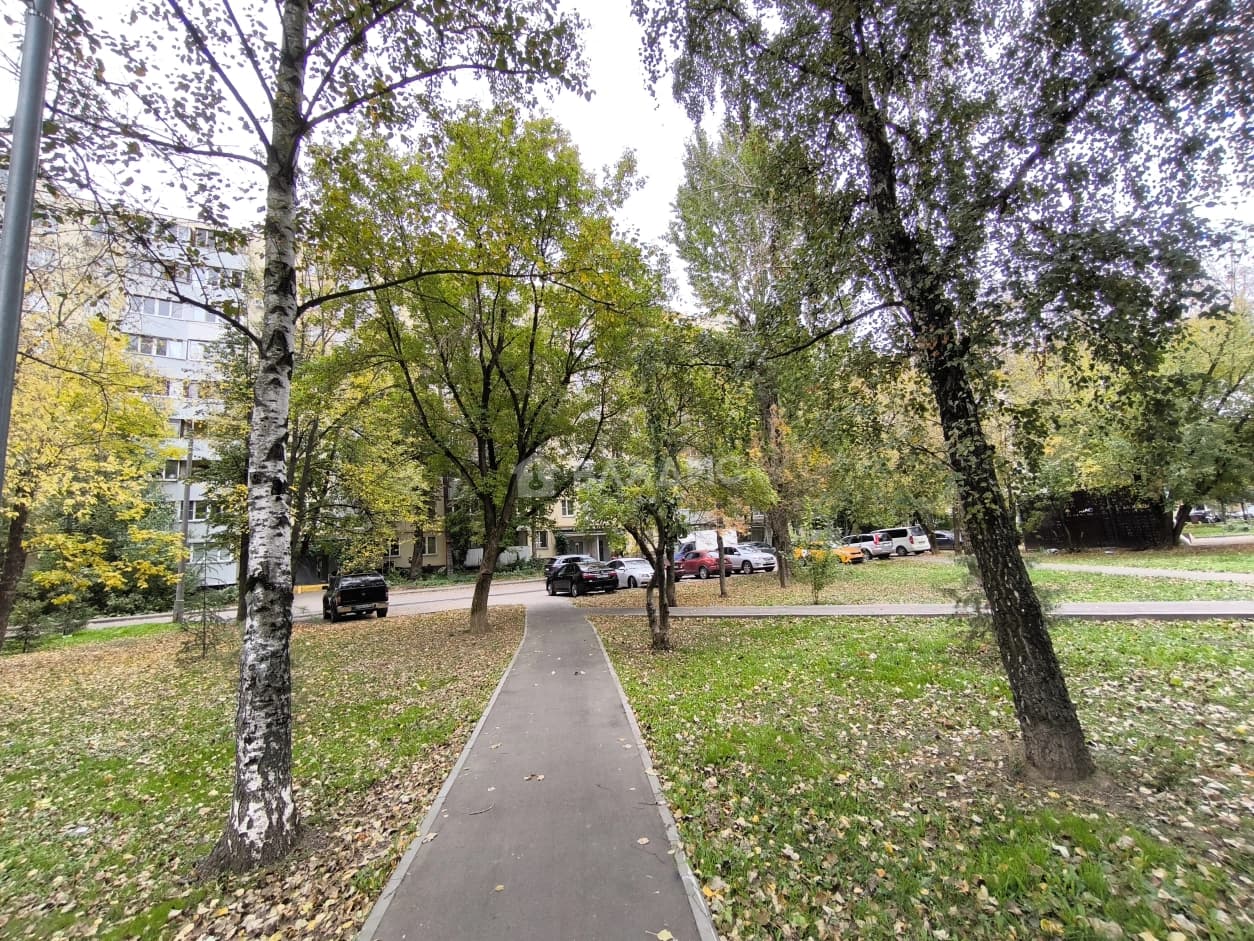 Photo 42