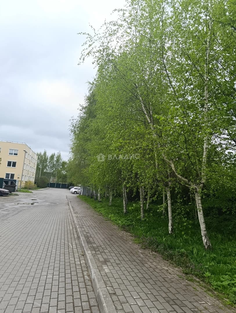 Photo 29