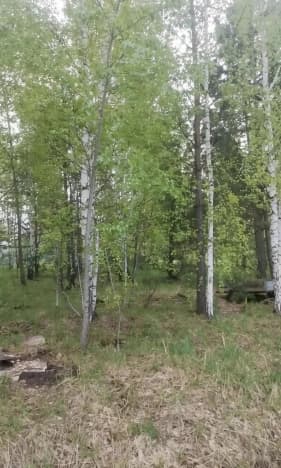 Купить земельный участок в селе Нижний сузун в Сузунском Муниципальном Округе на улице Полевая , село Нижний Сузун в Новосибирской области. Вариант № 2146403, 0, площадь - квм, цена 2070000 рублей