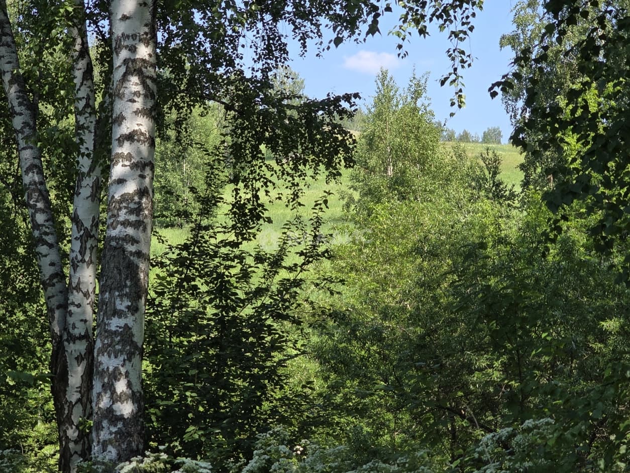 Photo 25