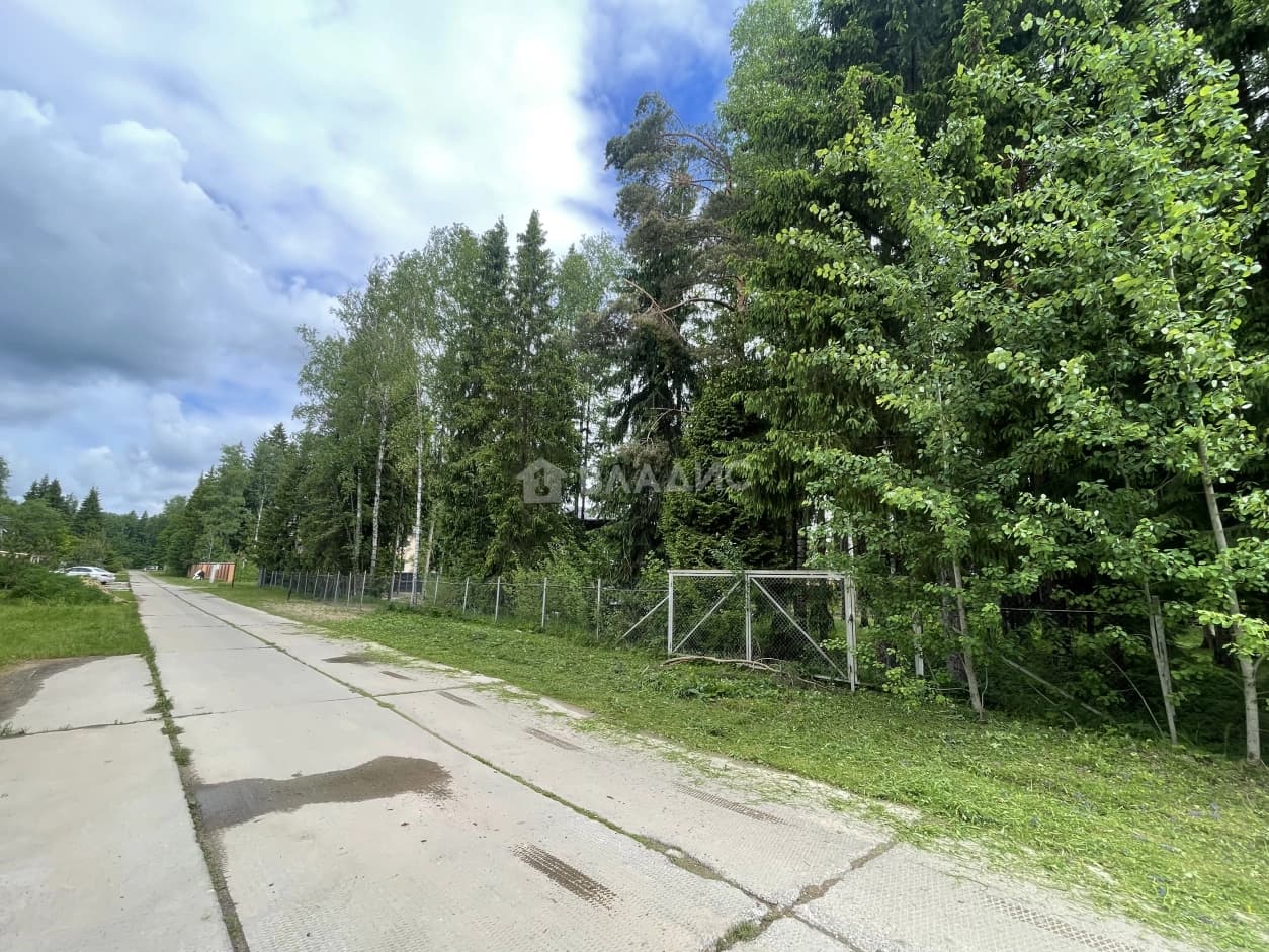 Photo 25