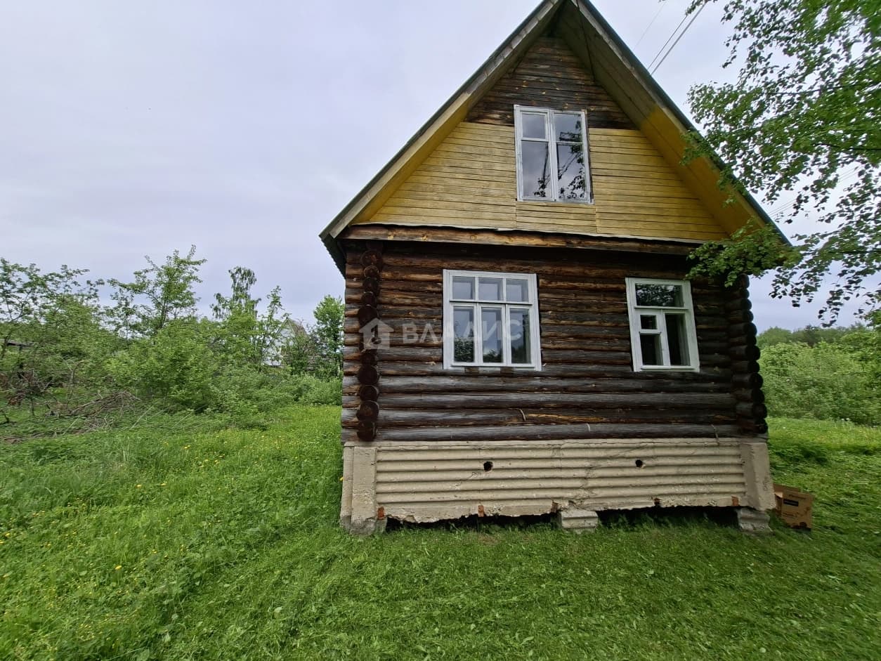 Photo 11