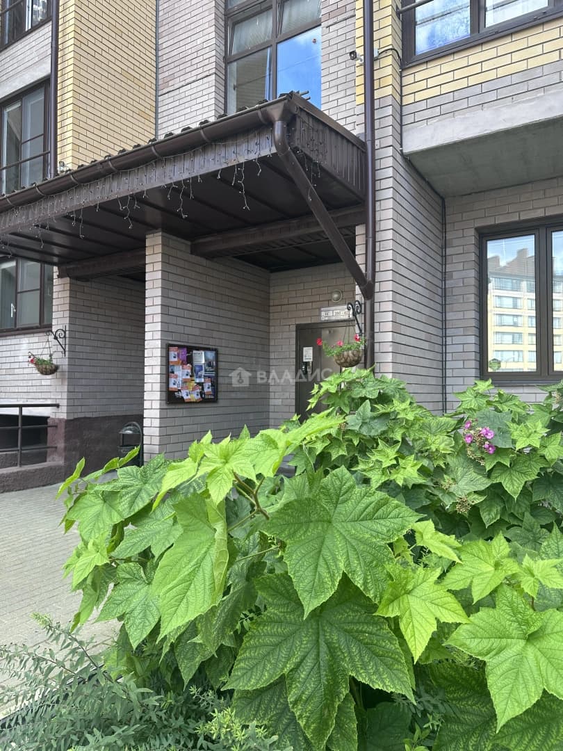 Photo 37