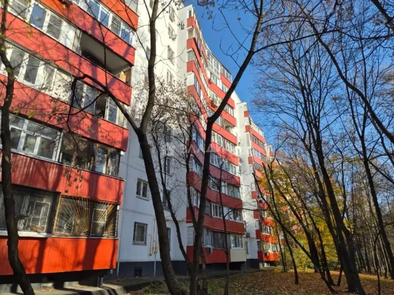 Photo 23