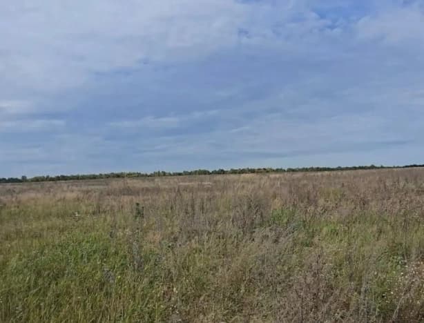 Купить земельный участок в Посёлоке Городского Типе Васильеве в Зеленодольском районе в Республике Татарстан (татарстан). Вариант № 2380014, 0, площадь - квм, цена 980000 рублей