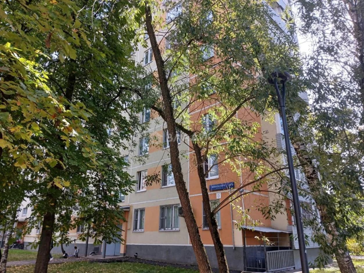 Photo 31