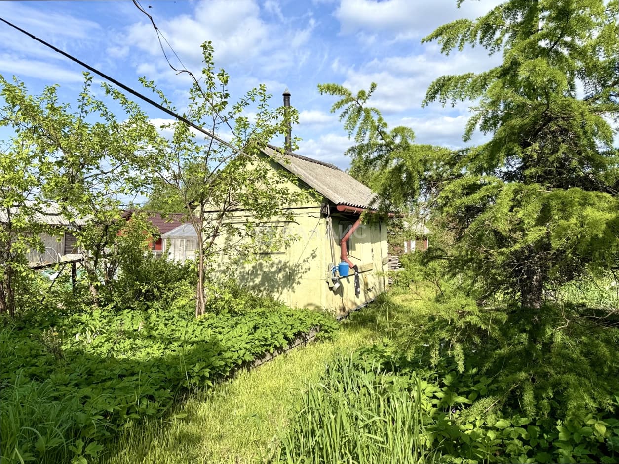 Photo 25