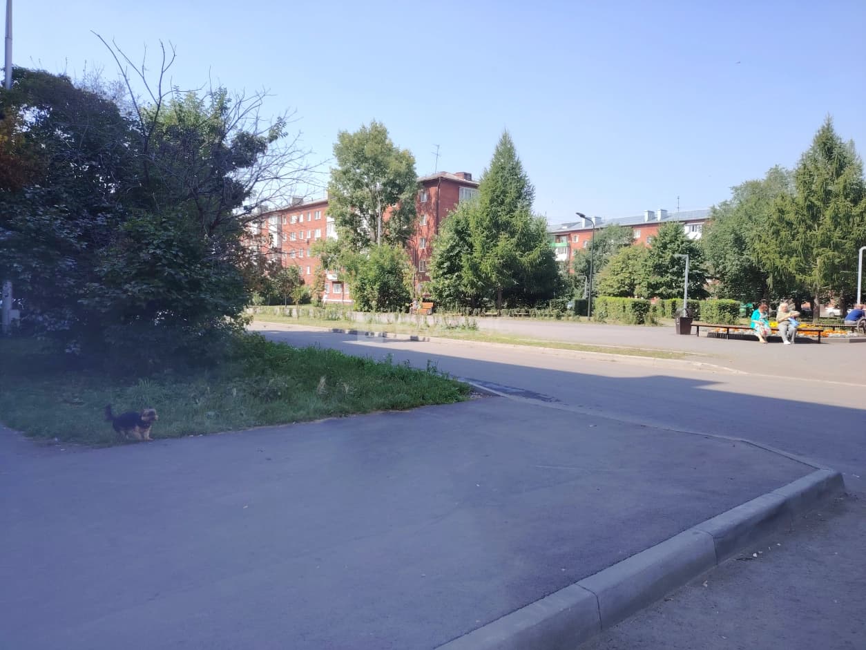Photo 20