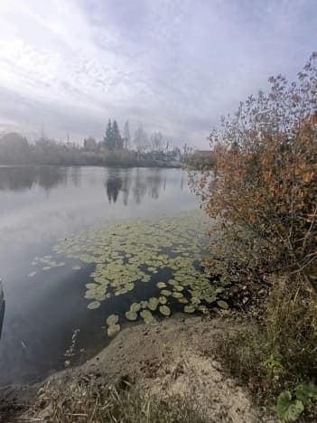 Купить земельный участок в Деревне Башкове в Тобольском Муниципальном Округе в Тюменской области. Вариант № 2331244, 0, площадь - квм, цена 850000 рублей