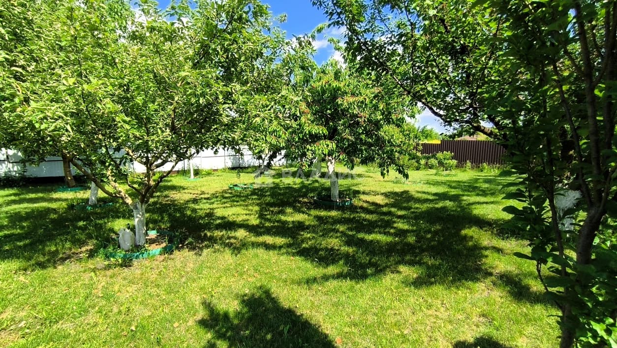 Photo 45