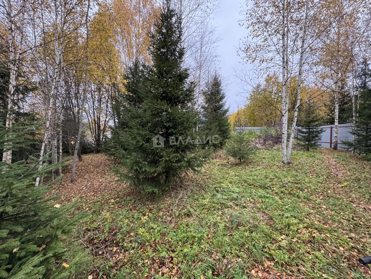 Photo 46