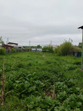Купить земельный участок в Новосибирском районе в Новосибирской области. Вариант № 2005881, 1, площадь - квм, цена 1800000 рублей