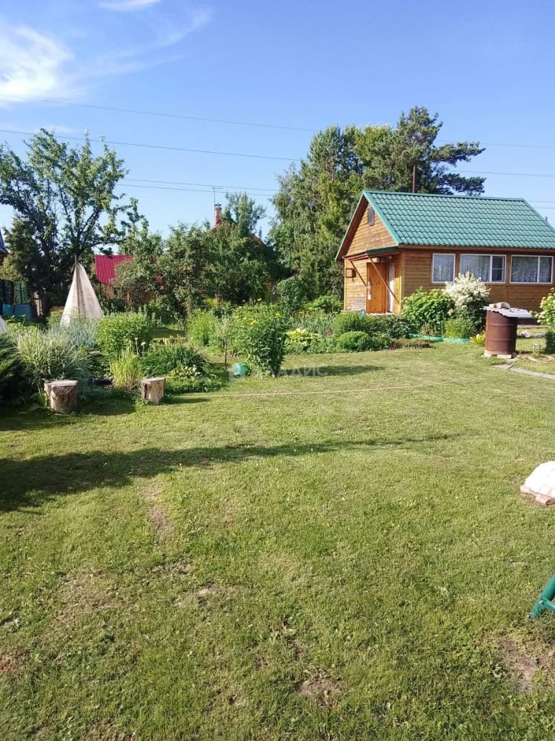 Photo 7
