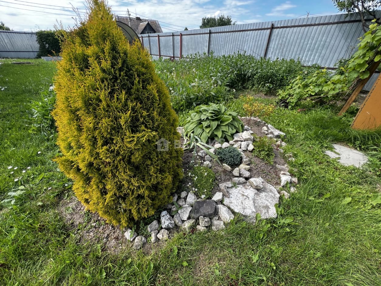 Photo 33