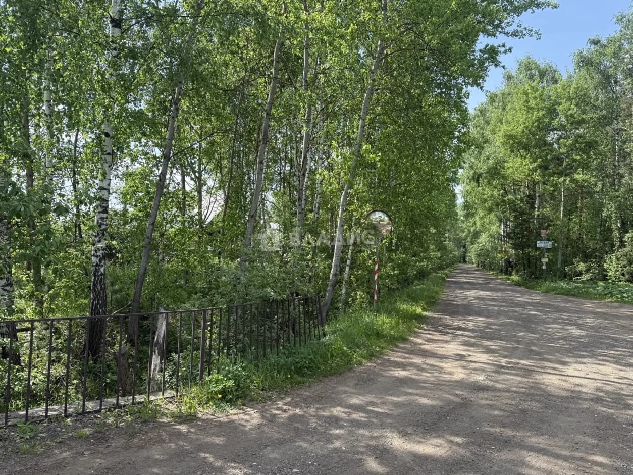 Photo 22