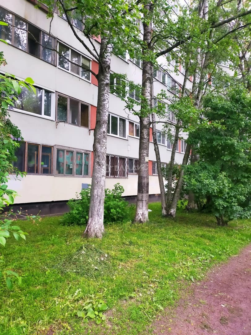 Photo 17