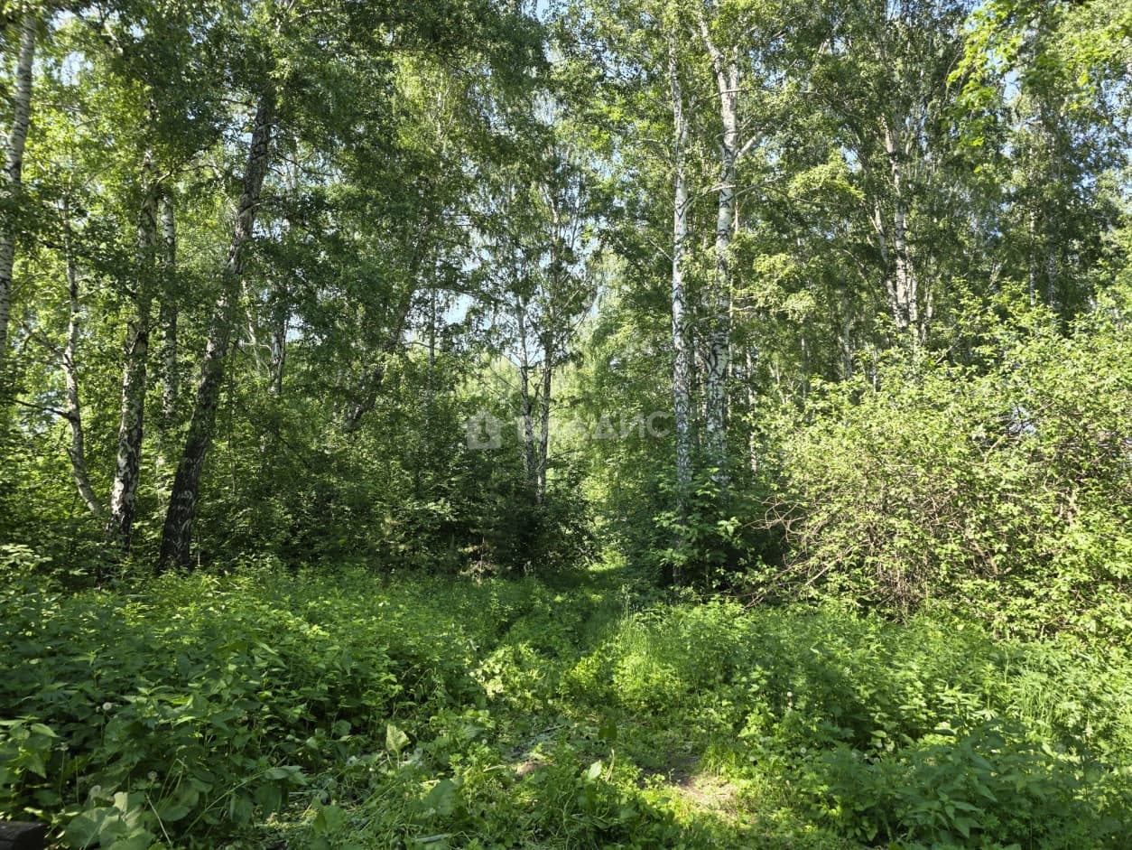 Photo 34