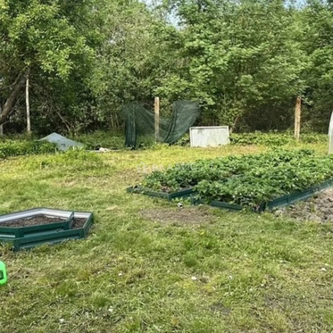 Photo 32
