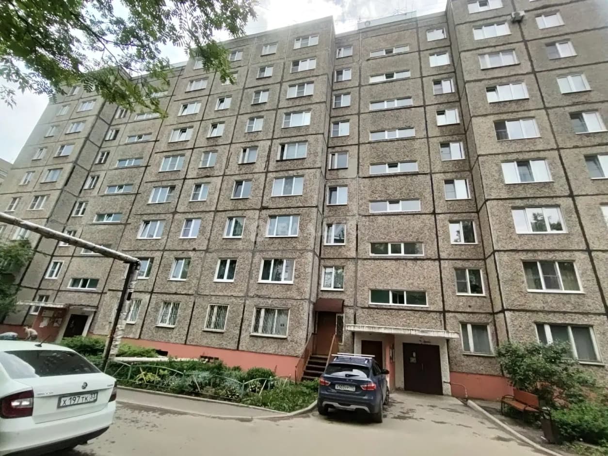 Photo 11