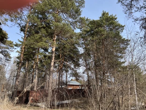 Купить земельный участок на улице 44-я в Бердске. Вариант № 2130341, 1, площадь - квм, цена 9500000 рублей