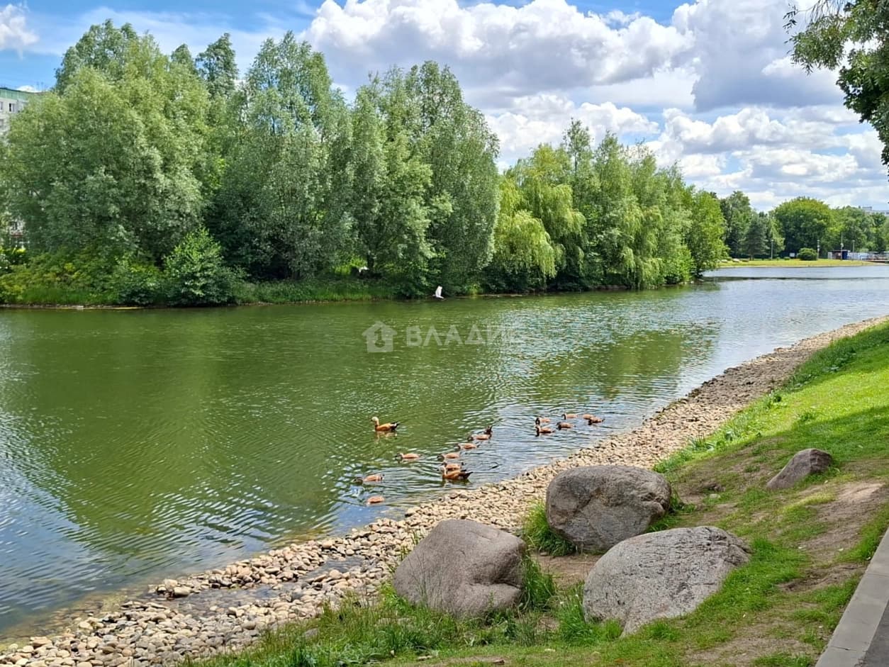 Photo 30