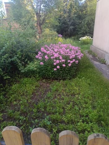 Купить двухкомнатную квартиру на улице Гренадерского Полка в Владимире. Вариант № 2296464, 1, площадь - квм, цена 3600000 рублей