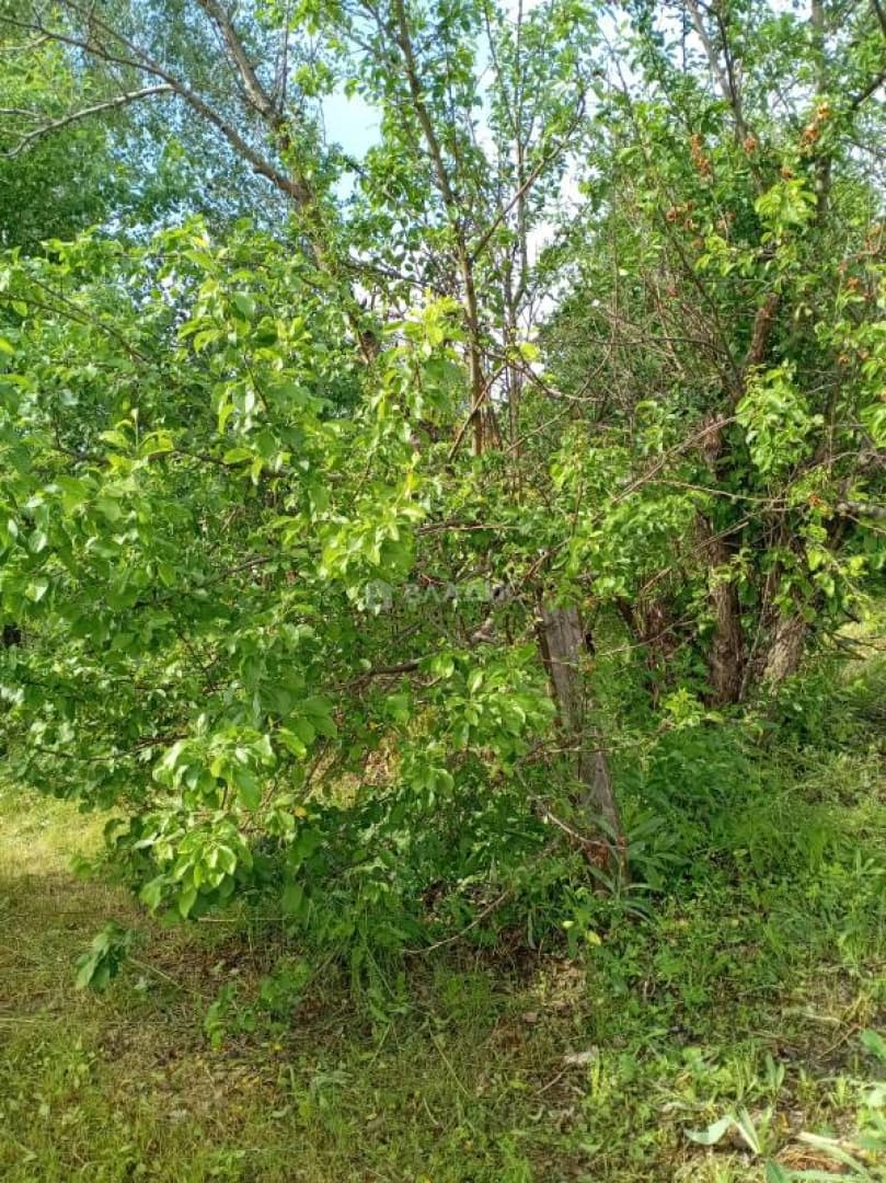 Photo 36