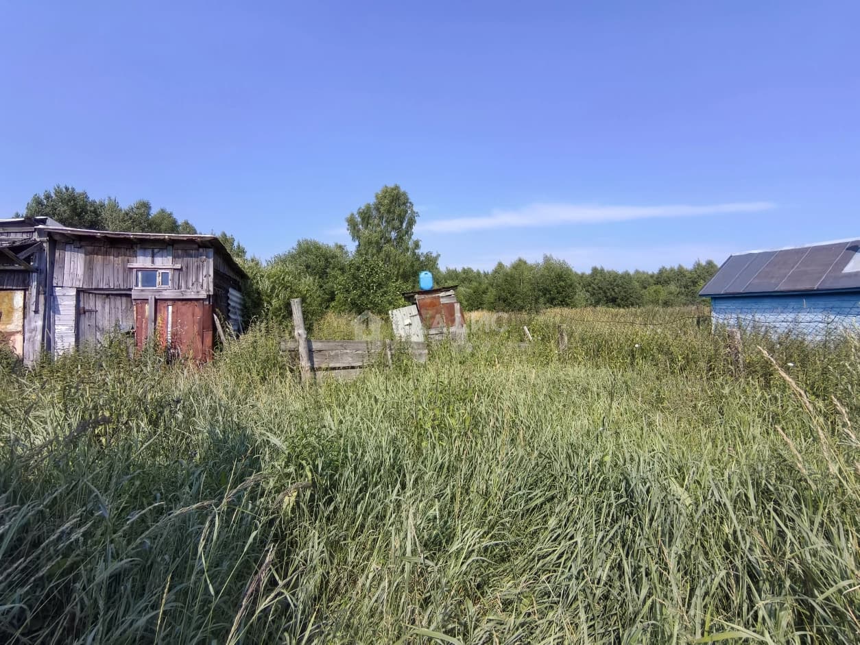 Photo 20