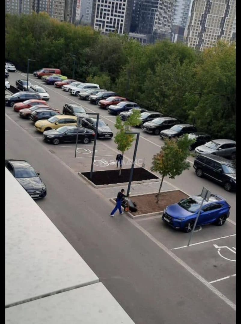 Photo 22