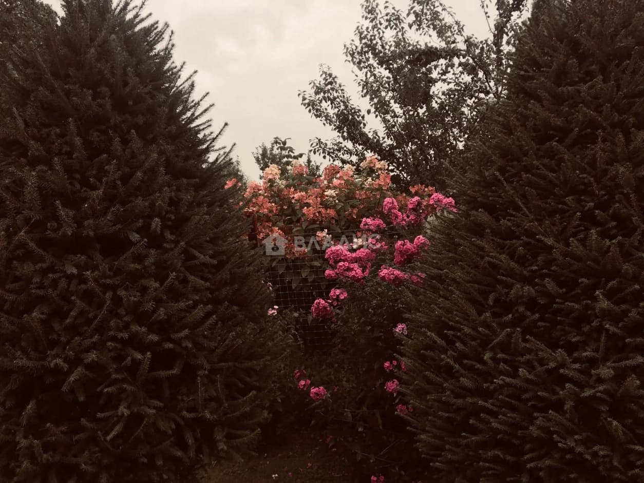 Photo 33
