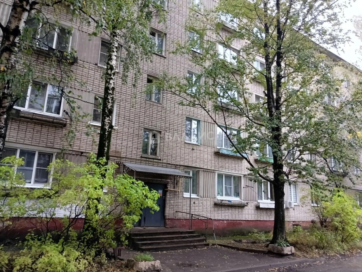 Photo 8