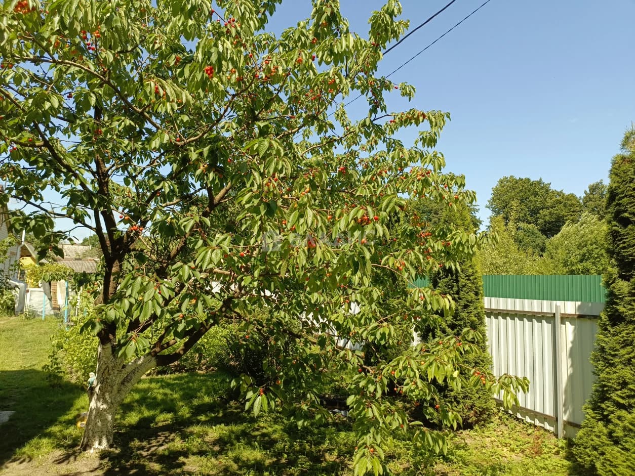 Photo 36