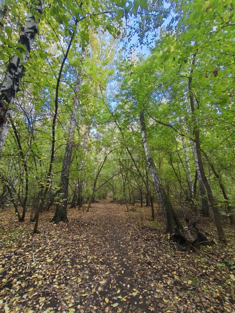Photo 31