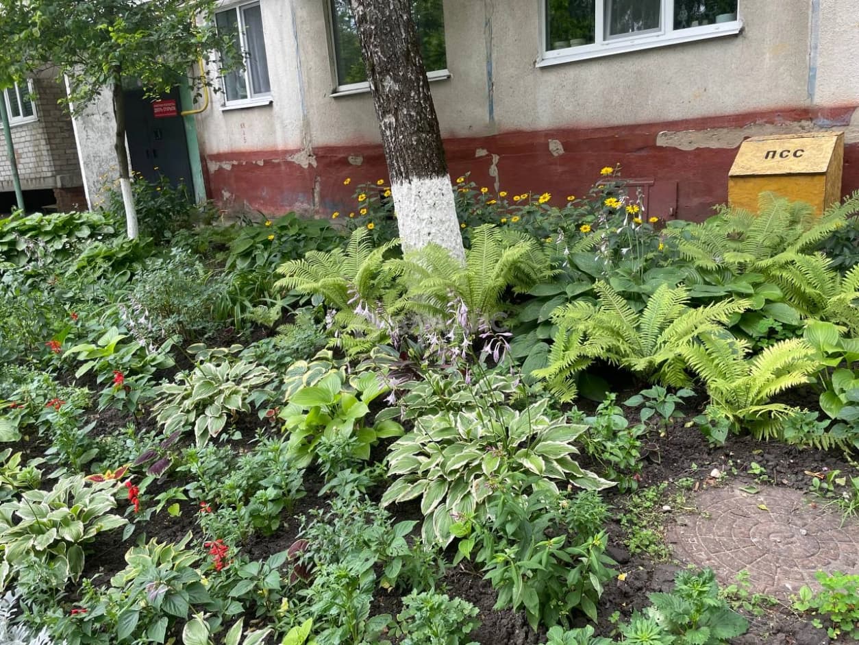 Photo 14