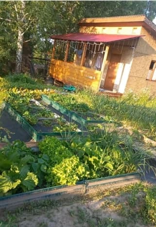 Купить дачу в районе Кировский в Новосибирске. Вариант № 2186354, 0, площадь - квм, цена 2750000 рублей