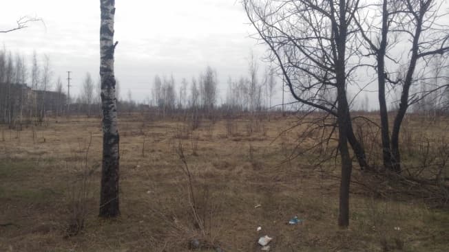 Купить земельный участок в селе Павловское в Суздальском районе на улице Молодёжная , село Павловское в Владимирской области. Вариант № 2182155, 1, площадь - квм, цена 2700000 рублей