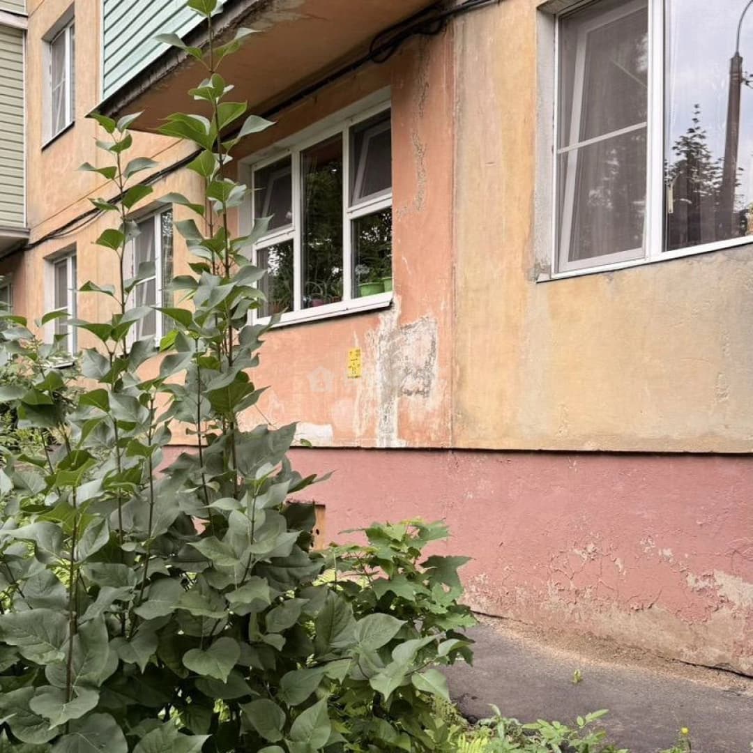 Photo 26