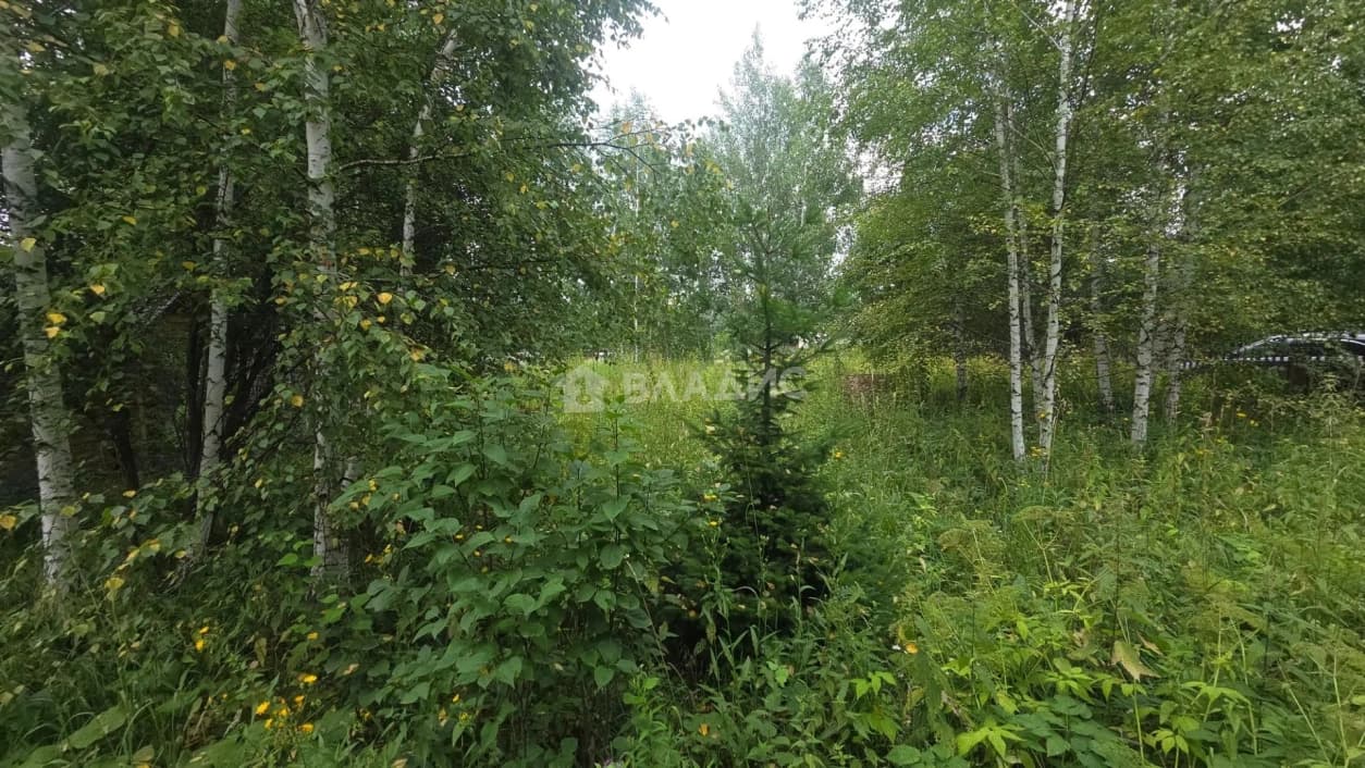Photo 35