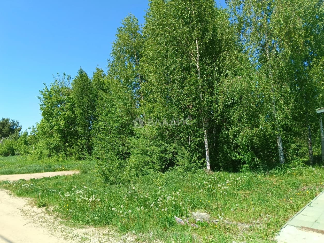 Photo 24