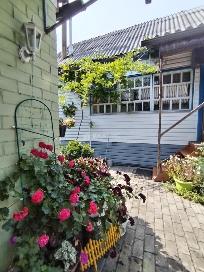 Photo 25
