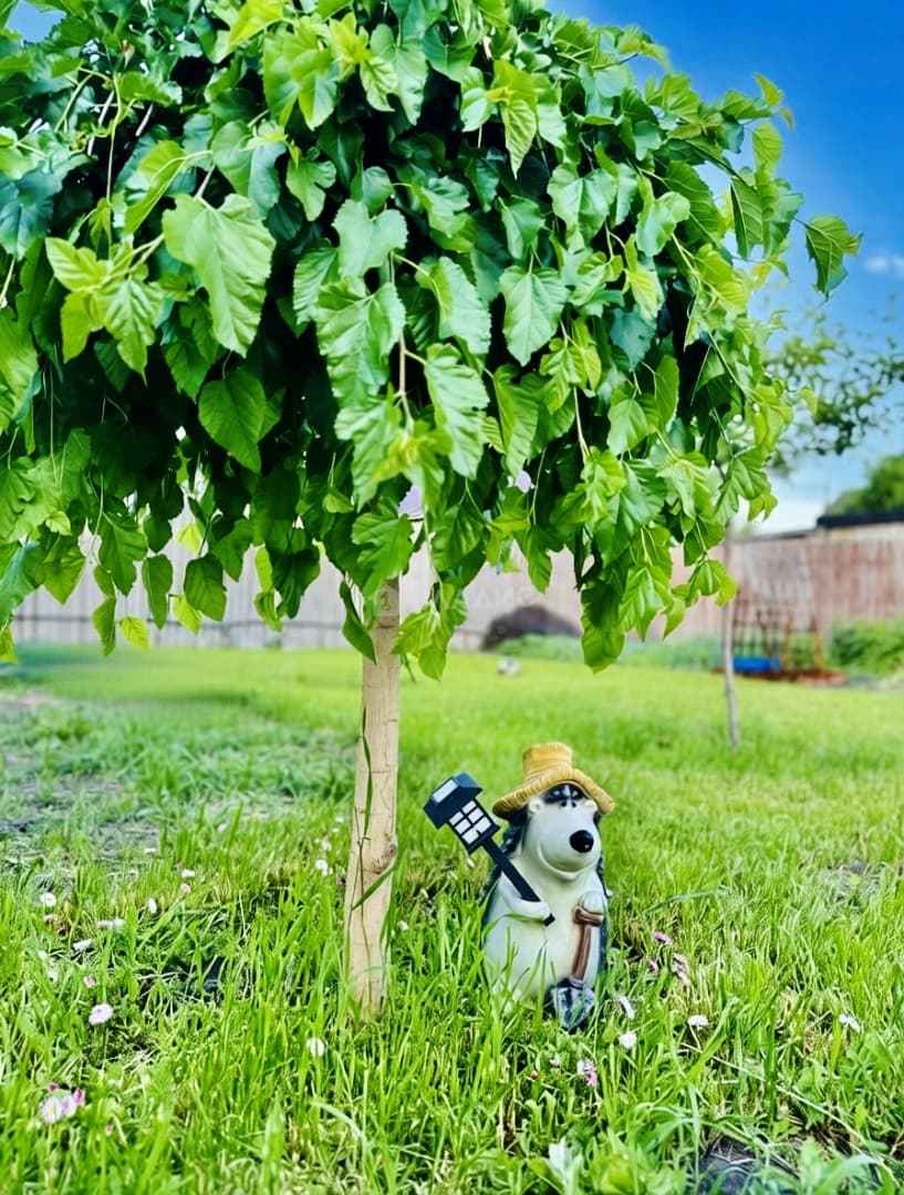Photo 40