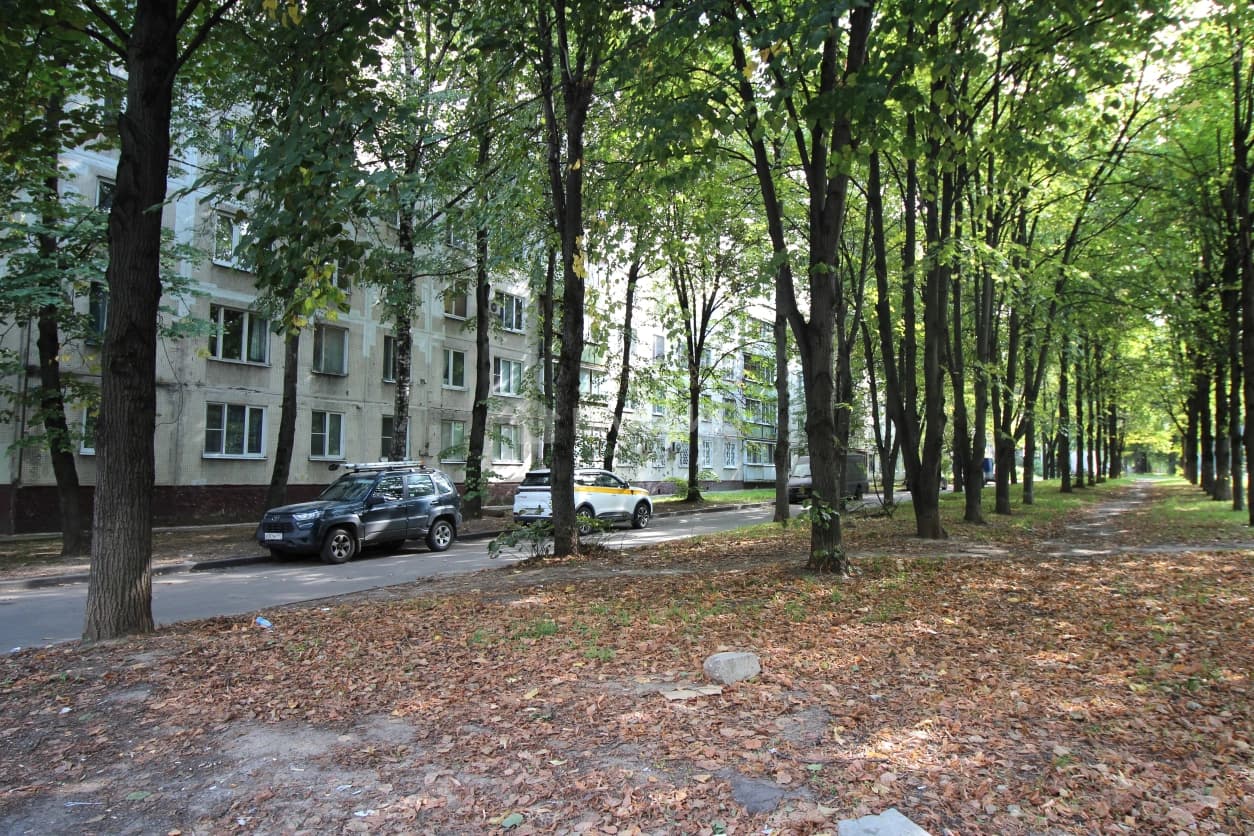 Photo 24