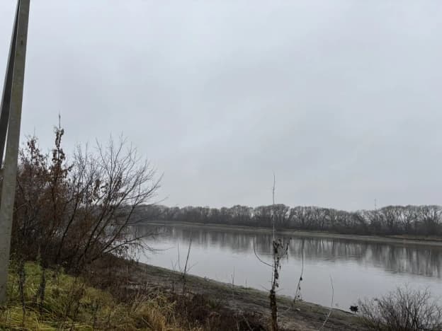 Купить земельный участок под сельское хозяйство в Московской области. Вариант № 2002543, 0, площадь - квм, цена 2399999 рублей