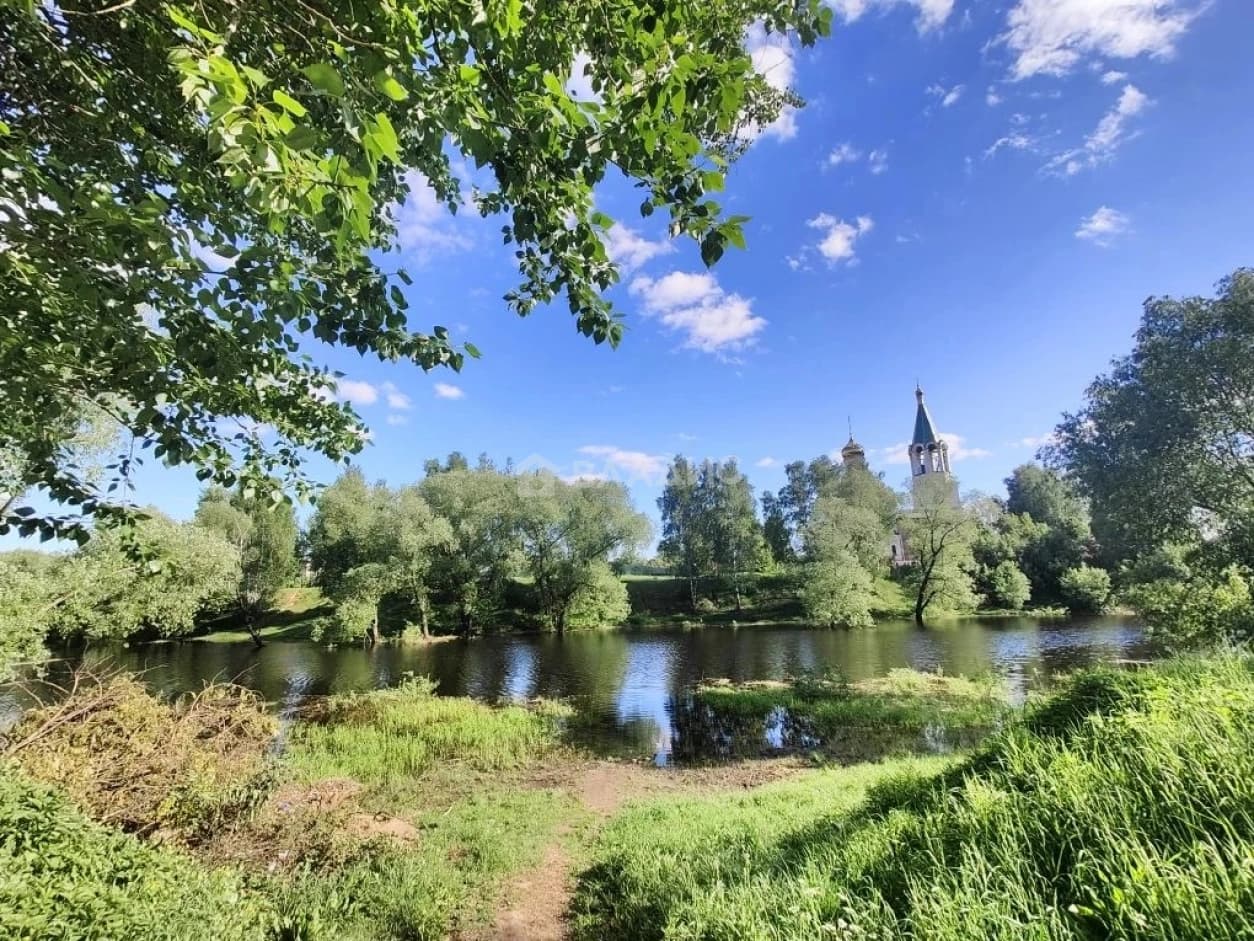Photo 25