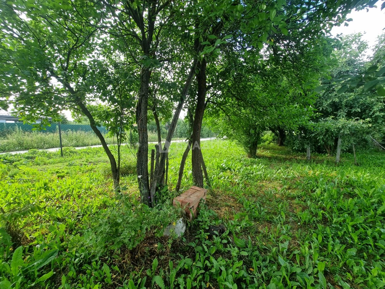 Photo 29