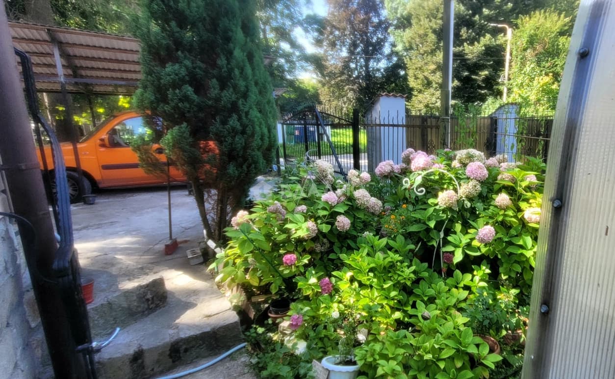 Photo 43